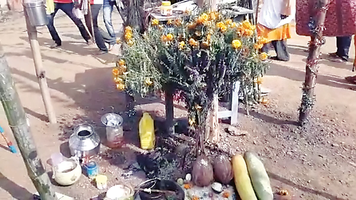 डोंगर्यादेव उत्सवास प्रारंभ