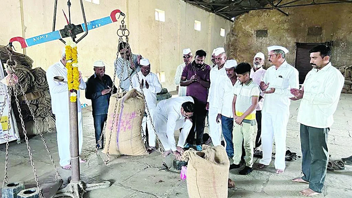 त्र्यंबकला धान खरेदी केंद्र सुरू; पहिल्याच दिवशी दीड लाखांची भात खरेदी