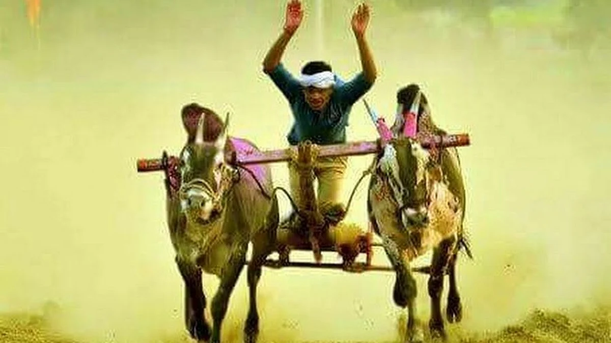 कारवाईच्या भीतीने आयोजकांची धांदल; बैलगाडा शर्यत थांबवली
