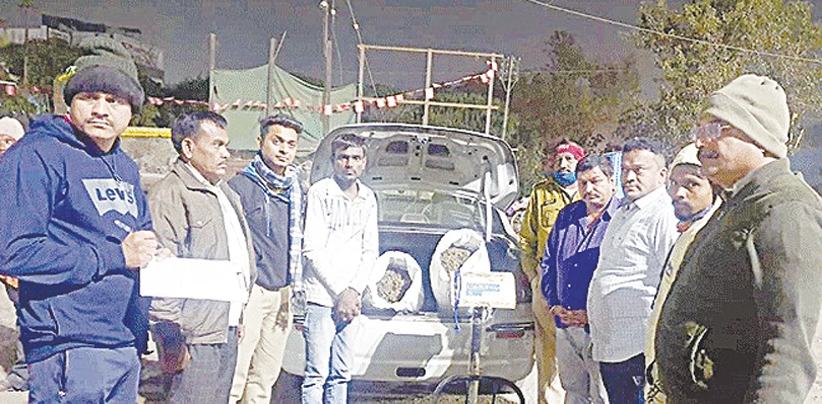 33 किलो गांजासह धुळ्यातील दोन्ही जाळ्यात