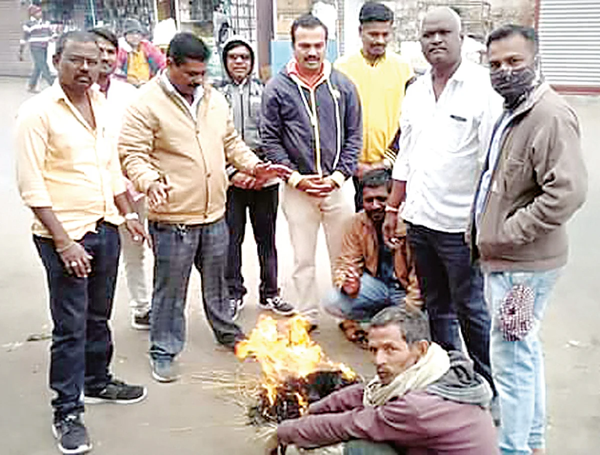 थंडीत वाढ; पिकांवर परिणाम