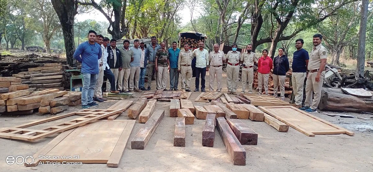 नवापूर तालुक्यात दोन ठिकाणी वनविभागाचे छापे