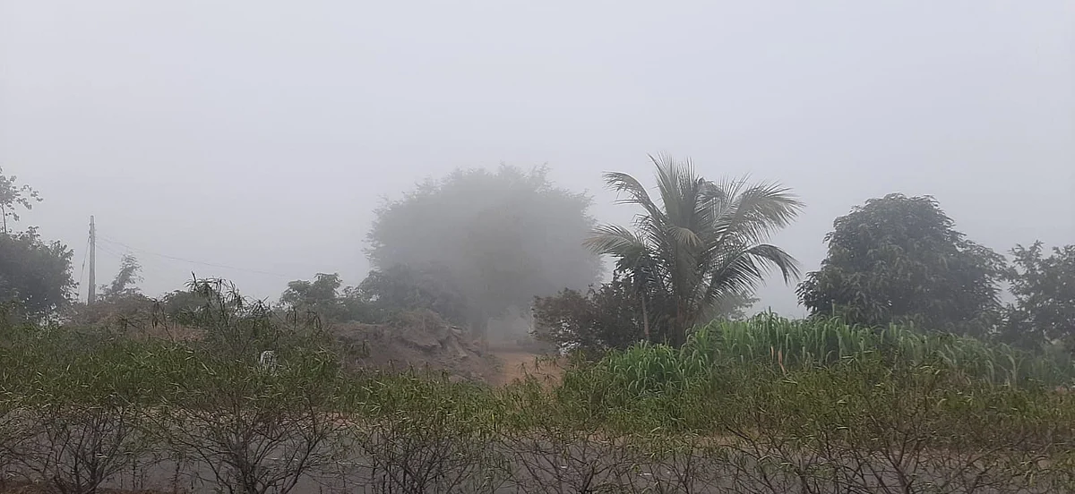 Dense fog worries farmers