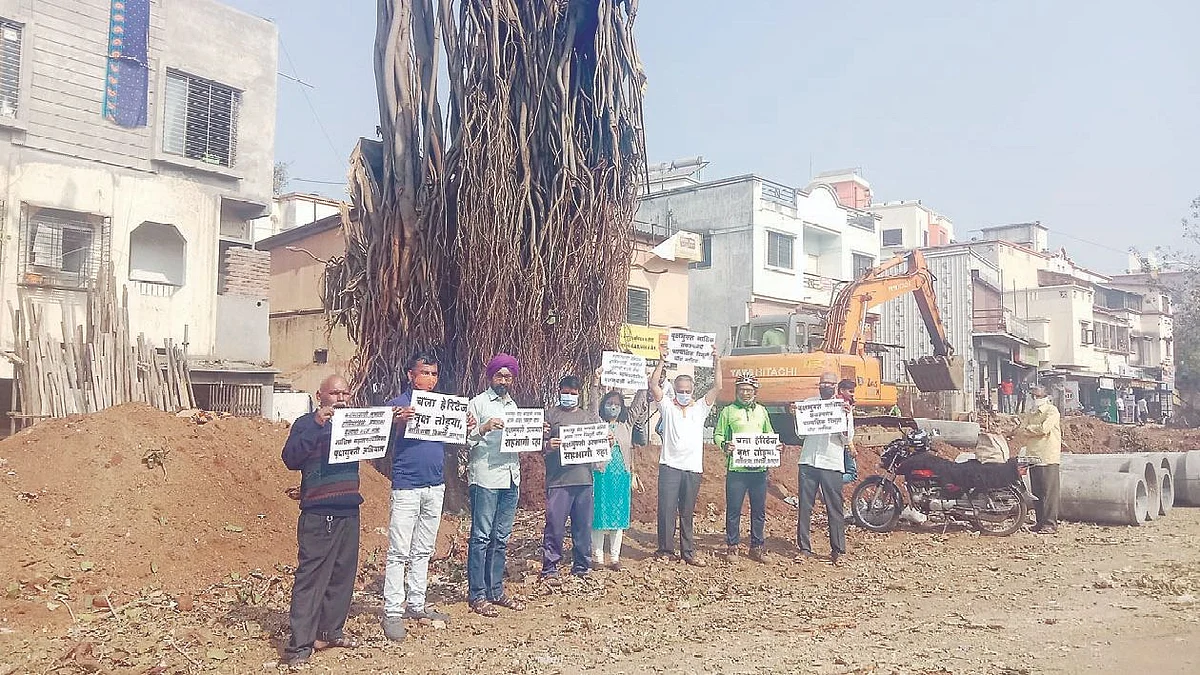 Environmentalists oppose move to cut trees