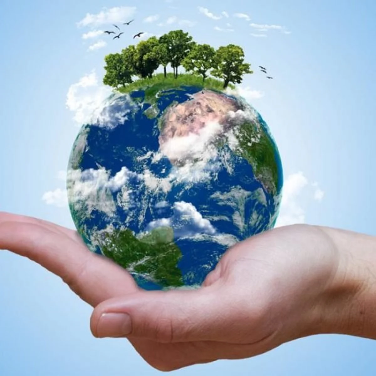 Earth Day 2022 : वसुंधरा दिन का साजरा केला जातो?