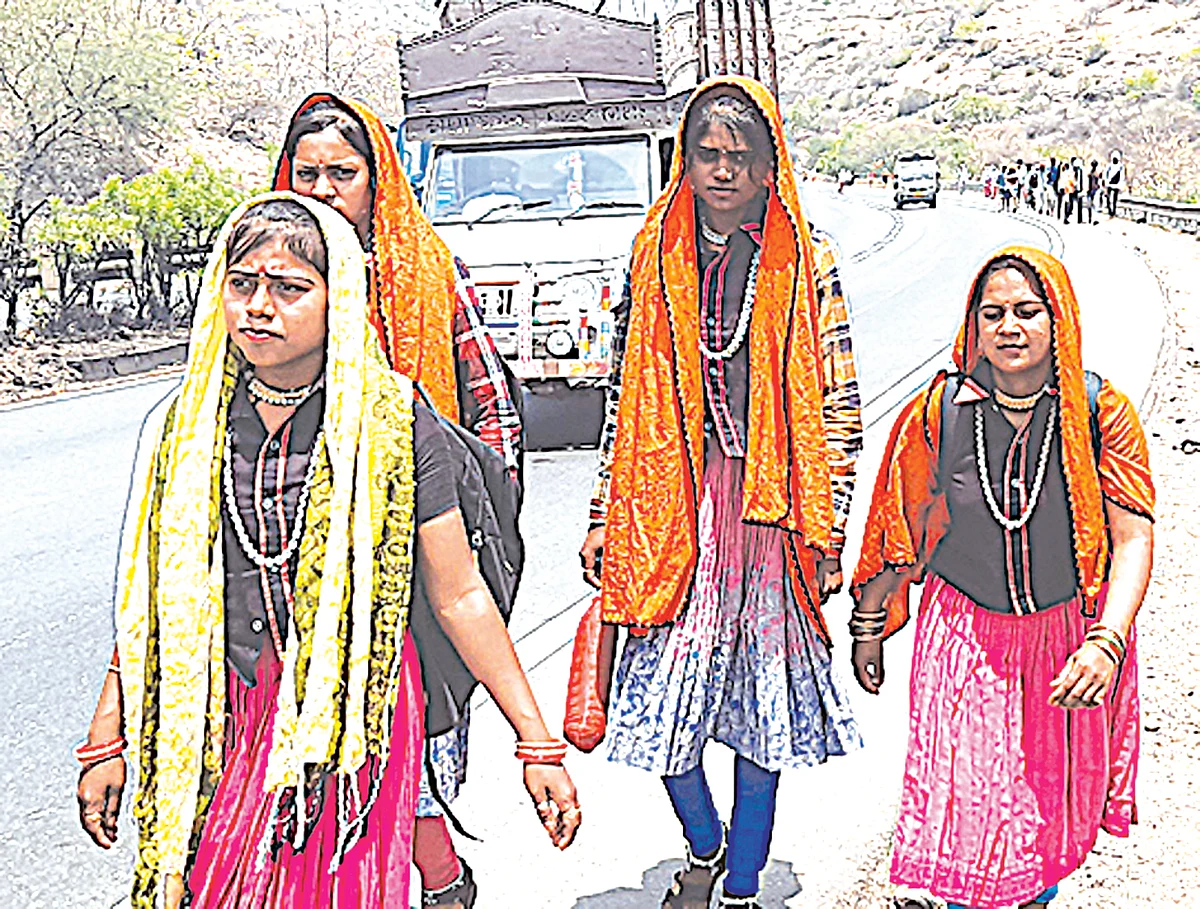 Photos # तप्त उन्हातही सप्तश्रृंगीच्या भाविकांमध्ये उत्साह