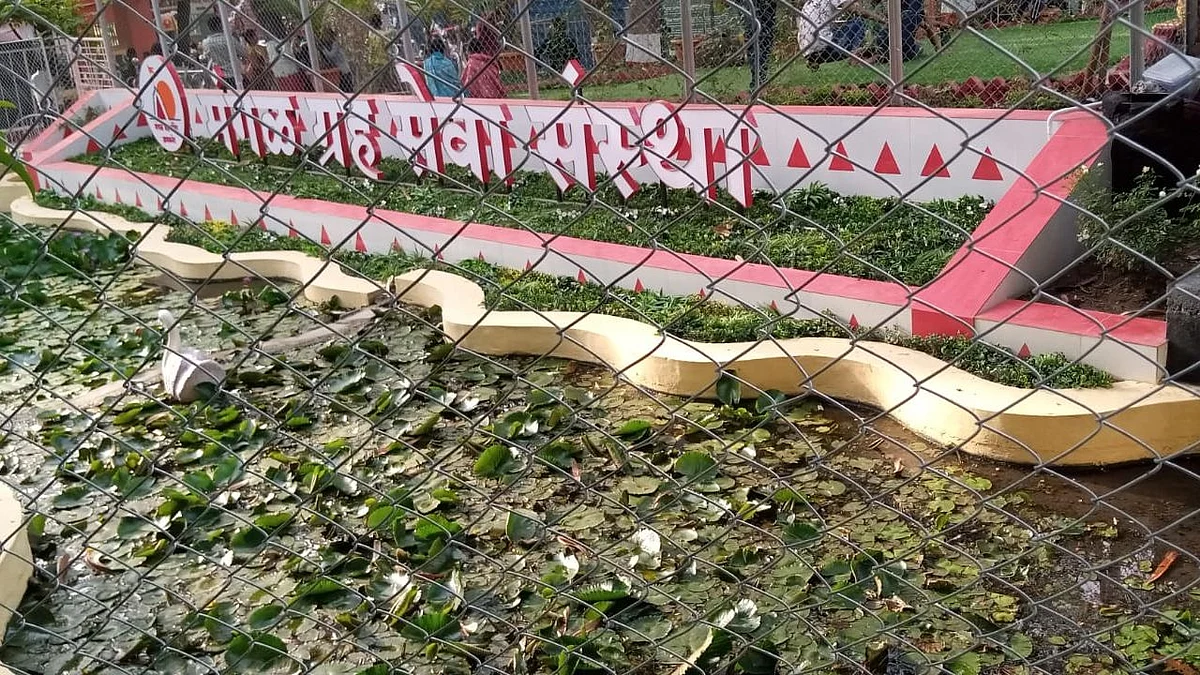 श्री मंगळग्रह मंदिरात भाविक, पर्यटकांसह पक्ष्यांनाही मिळतेय शांती