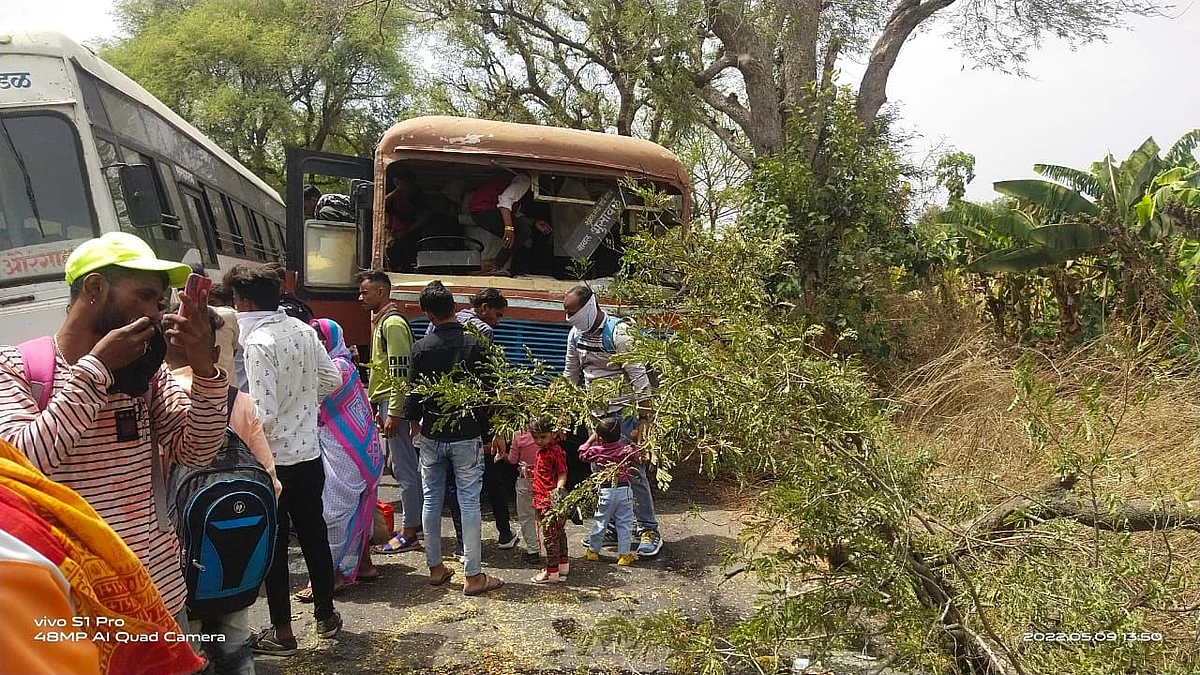 धावत्या बसवर कोसळले झाड ; प्रवाशी जखमी