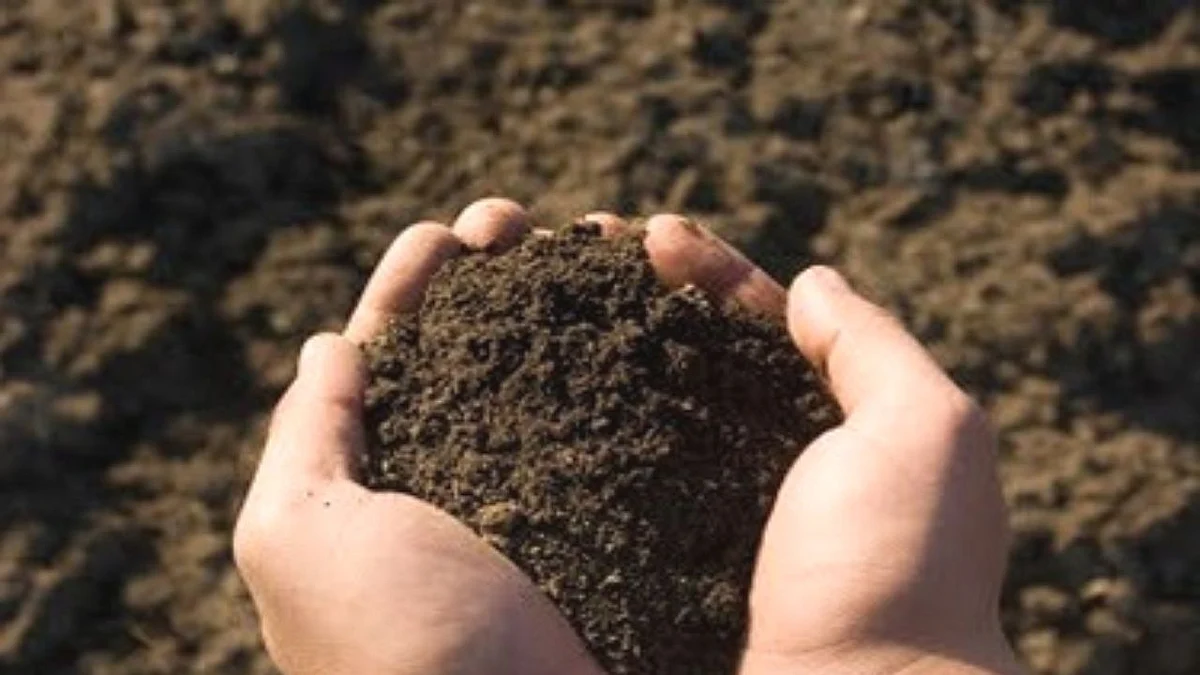 Save Soil : दिंडोरी तालुक्यातील शेतकऱ्यांची उत्कंठा शिगेला