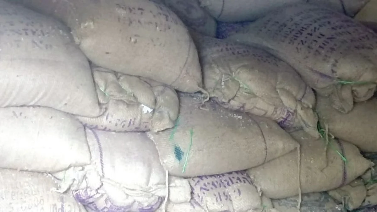 संगणक डाटाच नसल्याने तब्बल ११ हजार क्विंटल धान्य वाटपाच्या प्रतिक्षेत