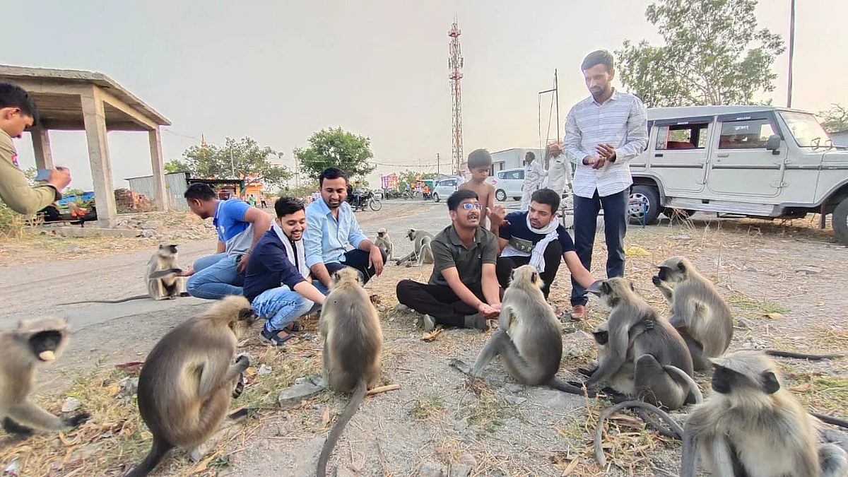भुकेने व्याकूळ असलेल्या वानरांना खाद्य देण्यासाठी शिर्डी ग्रामस्थ सरसावले