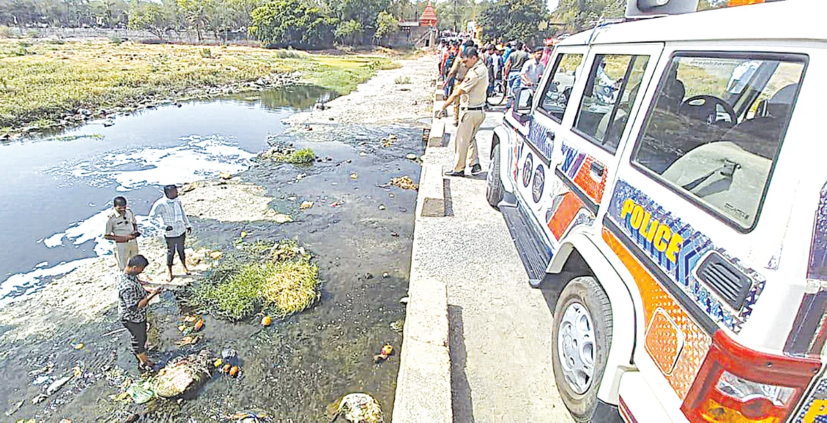 पांझरा नदीपात्रात मृत अर्भक आढळलेे