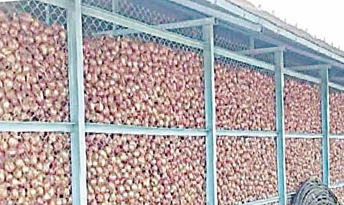 खरीप हंगामाला कांद्याचा आधार; उन्हाळी कांद्याची वाढली आवक