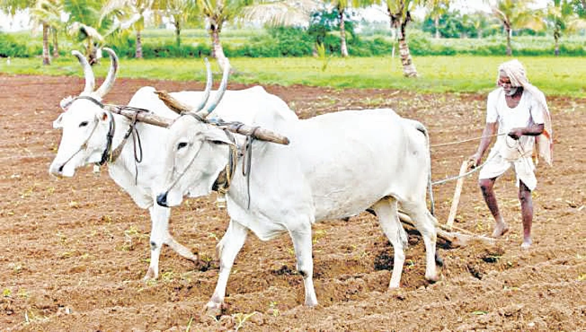 बळीराजा खरिपाच्या तयारीत