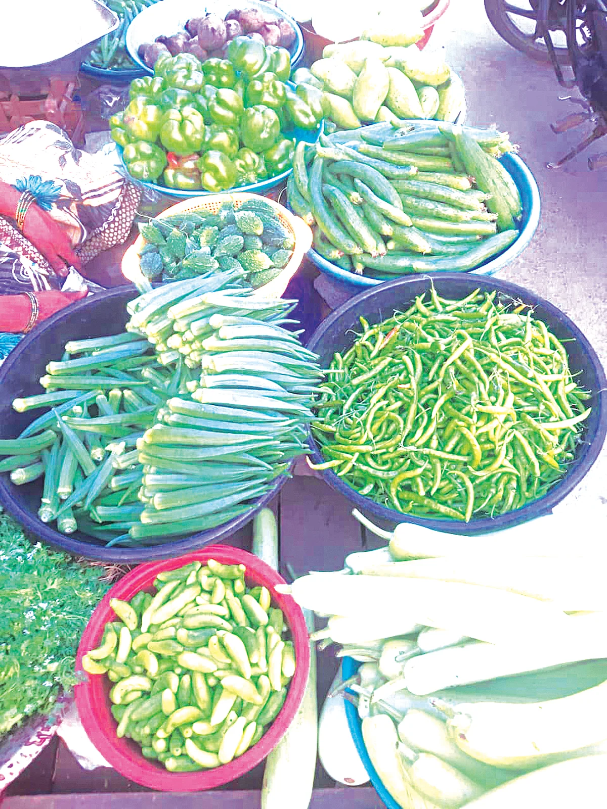 उन्हाच्या दाहकतेमुळे भाजीपाला पिकांना फटका