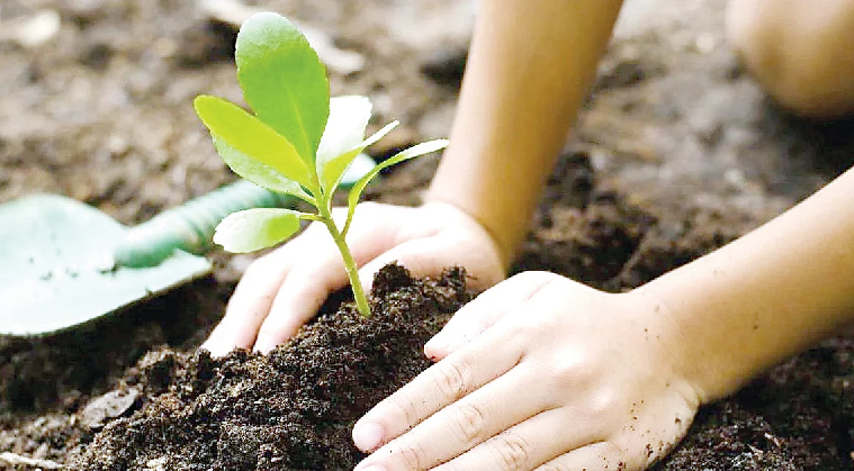 जागतिक पर्यावरण दिन विशेष : ‘केवळ एक पृथ्वी’ या वर्षाची संकल्पना