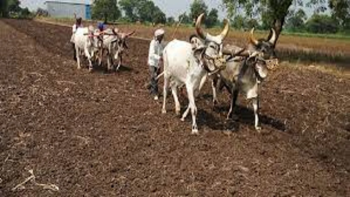 राहाता तालुक्यात खरिपाचे 39 हजार 485 हेक्टरवर नियोजन