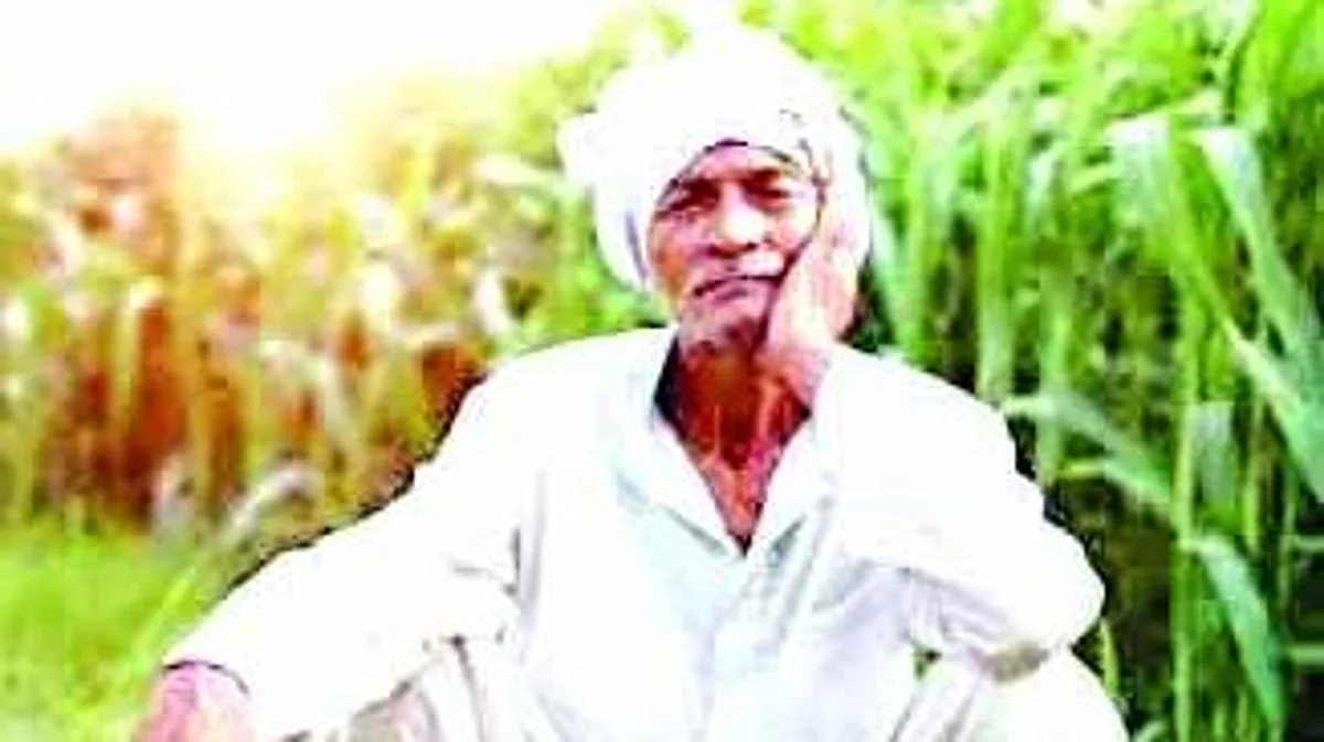 शेतकरी अनुदानाच्या प्रतीक्षेत