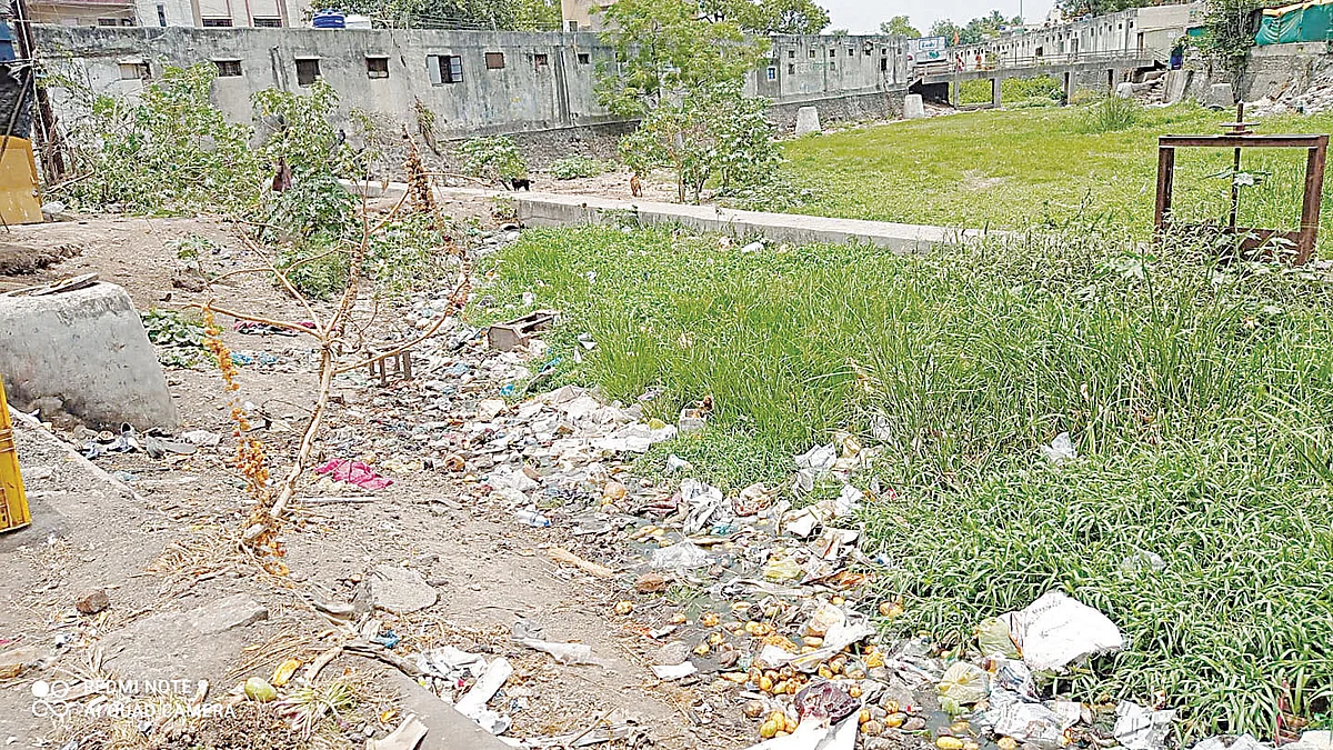सरस्वती नदीपात्रात गवताचे साम्राज्य