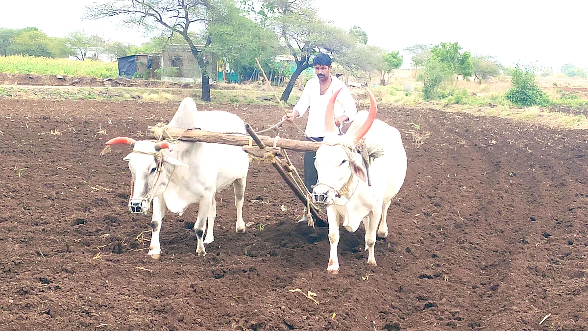 Save Soil : चार हंगामात शेती करावी