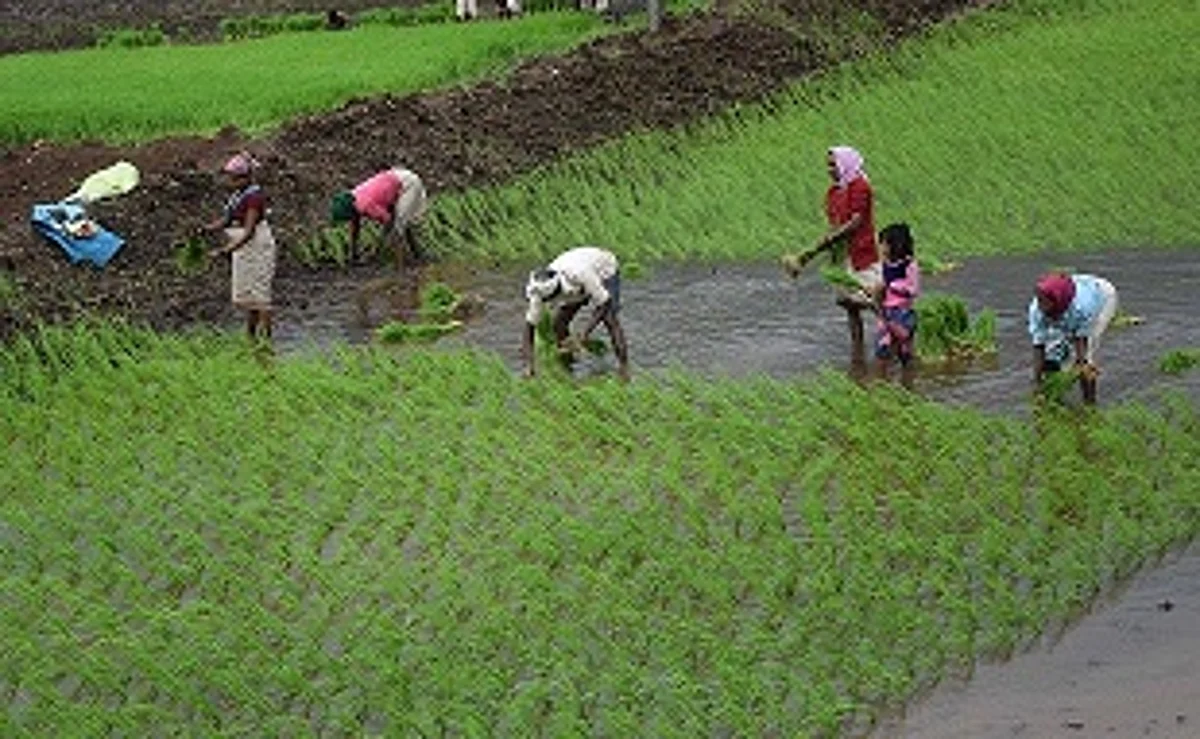 खरिपाच्या पेरण्या रखडल्या