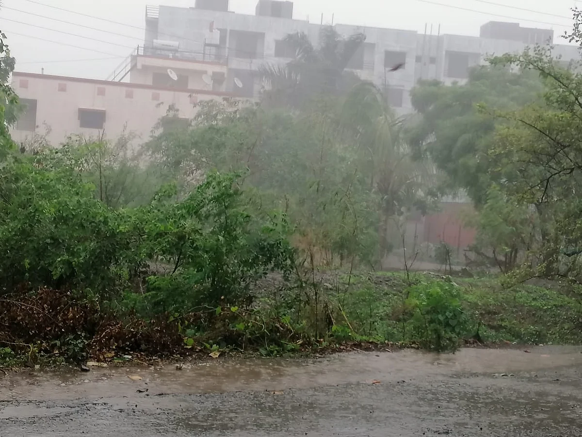प्रवरा परिसरात पावसाची जोरदार हजेरी