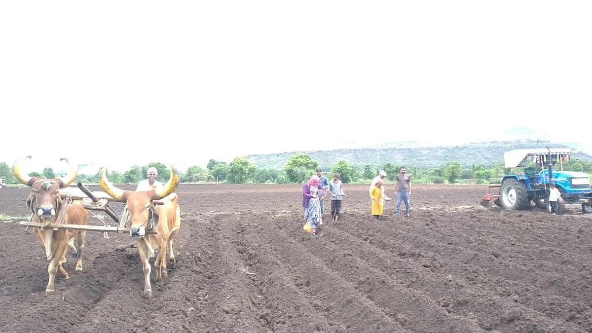 Delay in monsoon hampers sowing