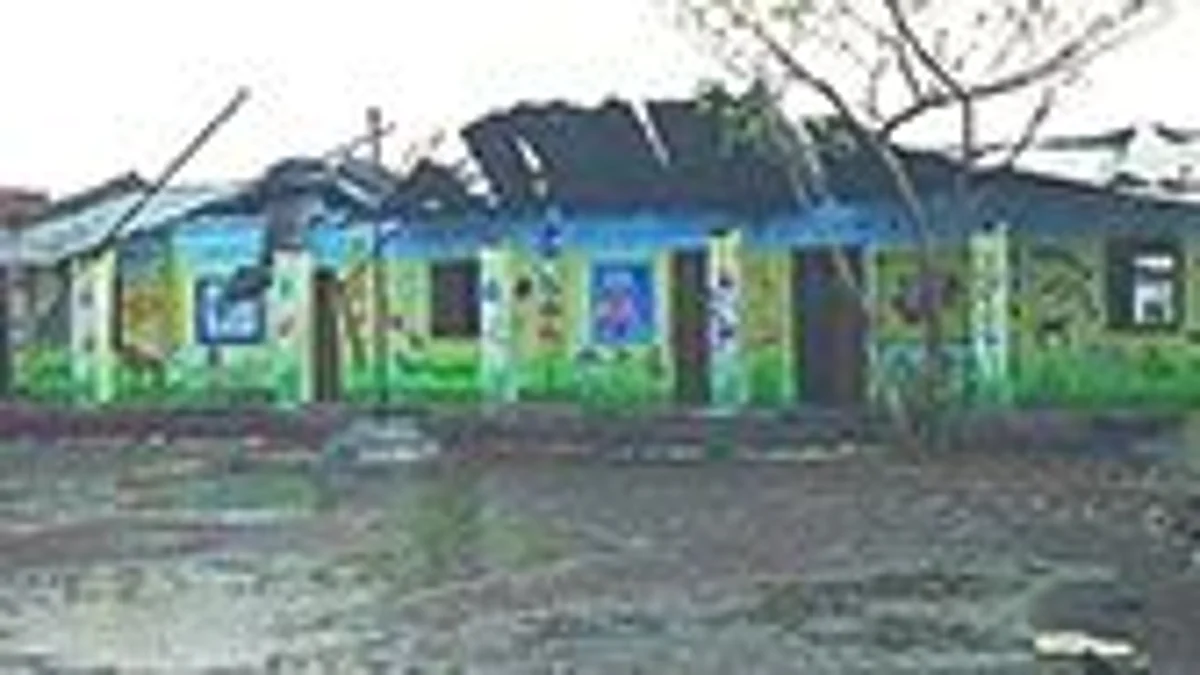 वादळी पावसात शाळेचे उडाले पत्रे