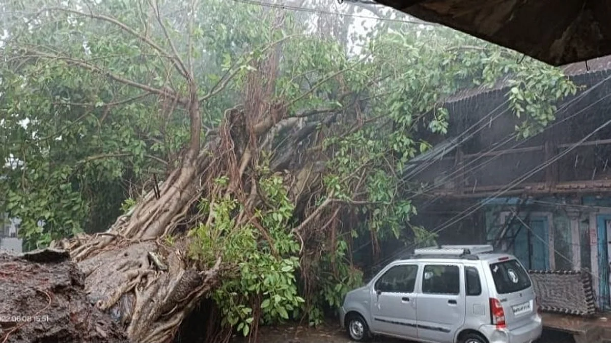 वादळी पावसामुळे दीडशे वर्षांपूर्वीचा वटवृक्ष कोसळला