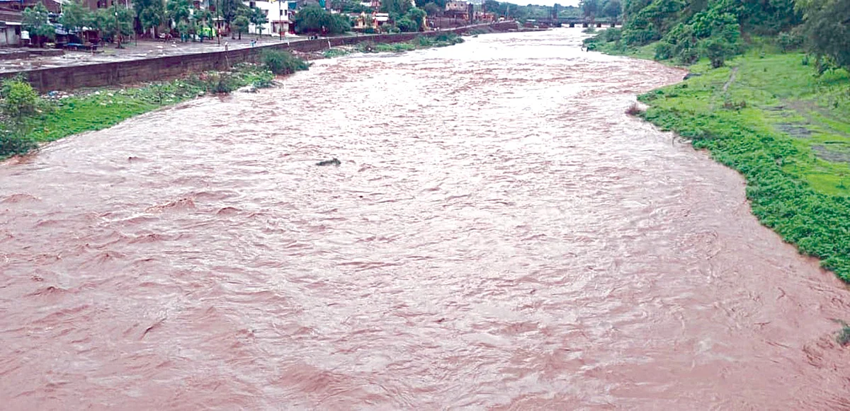 संततधार पावसामुळे नवापूर तालुका जलमय