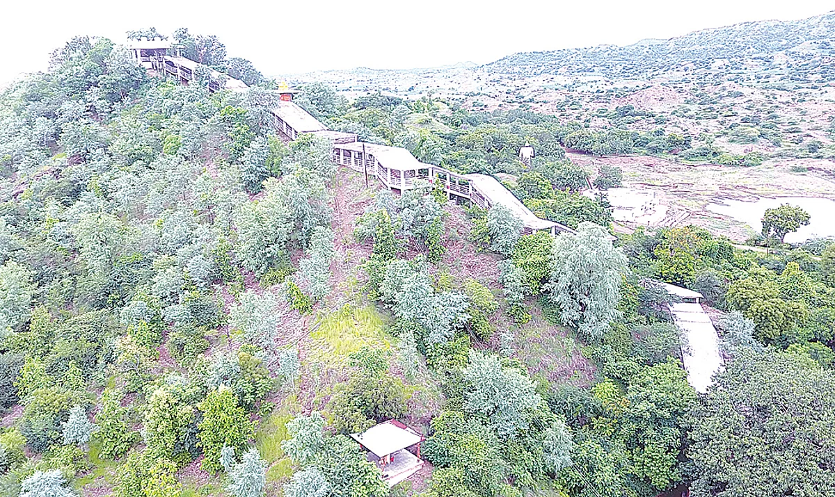 श्रीक्षेत्र नागेश्वर येथे दर श्रावण सोमवारी यात्रोत्सव
