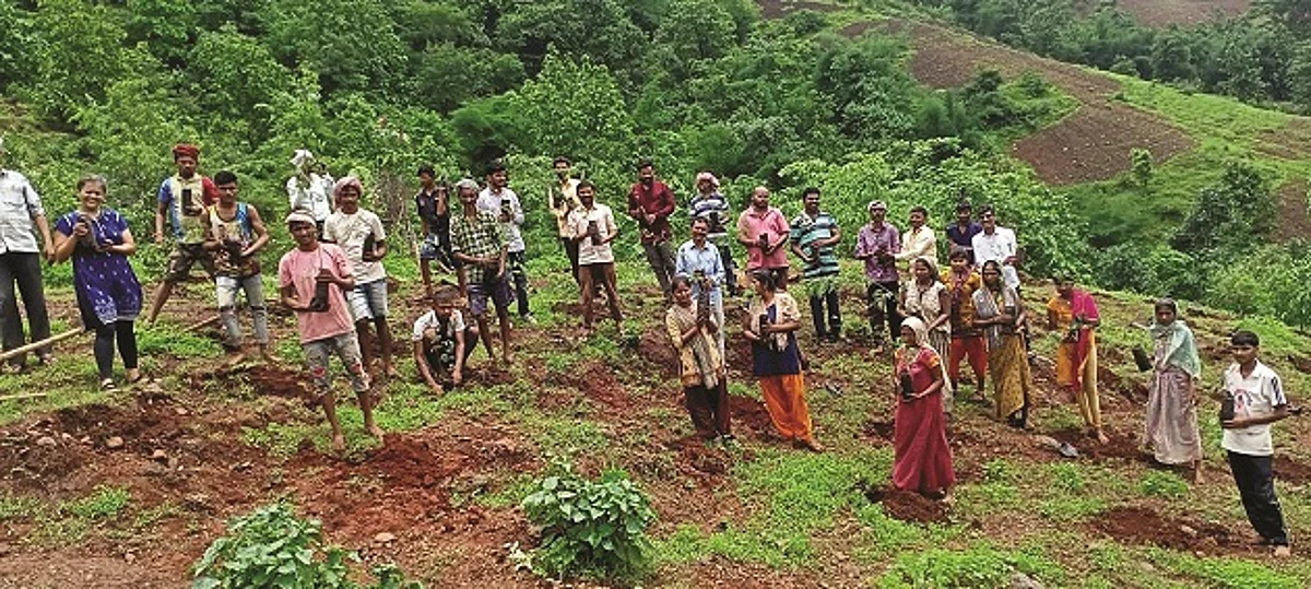 बालाघाट येथे वनाधिकार क्षेत्रावर वृक्ष लागवड