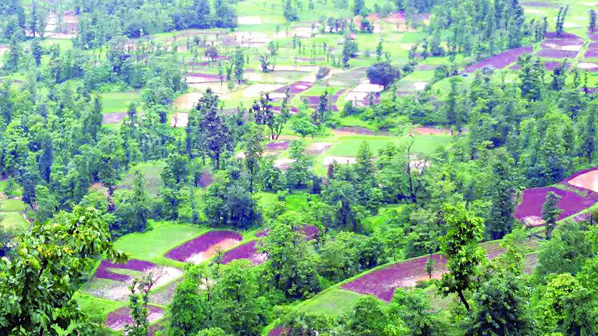 सुरगाण्याला विकास होईना