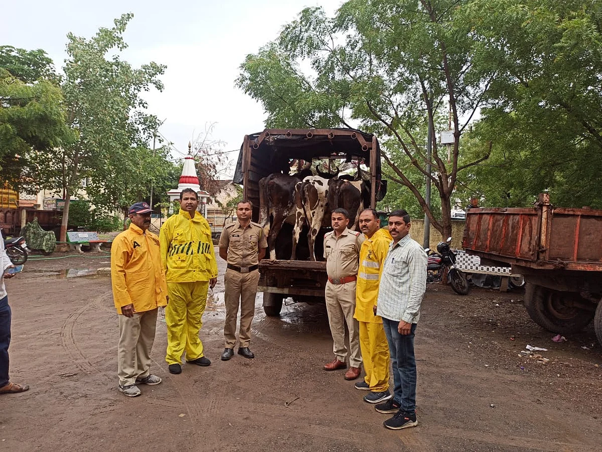 कत्तलीसाठी नेणार्या सात गायींची सुटका