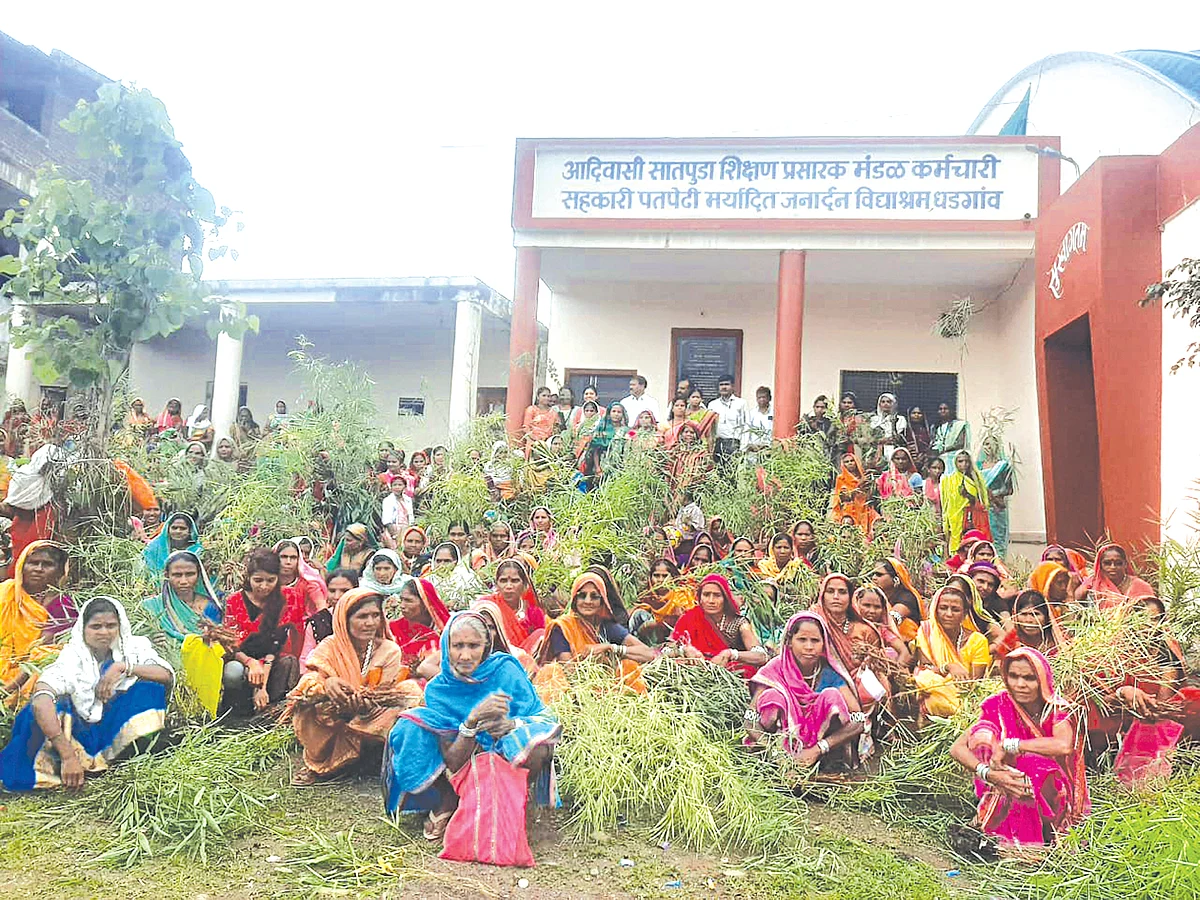 सातपुडा ग्रीन व्हॅली ग्री.कंपनीतर्फे धडगावात 60 हजार रोपांचे वाटप