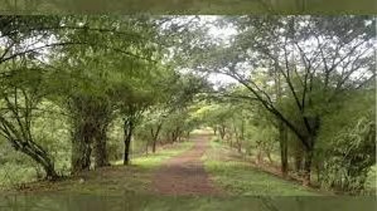 आरे कारशेडप्रकरणी 'या' दिवशी होणार 'सर्वोच्च' सुनावणी