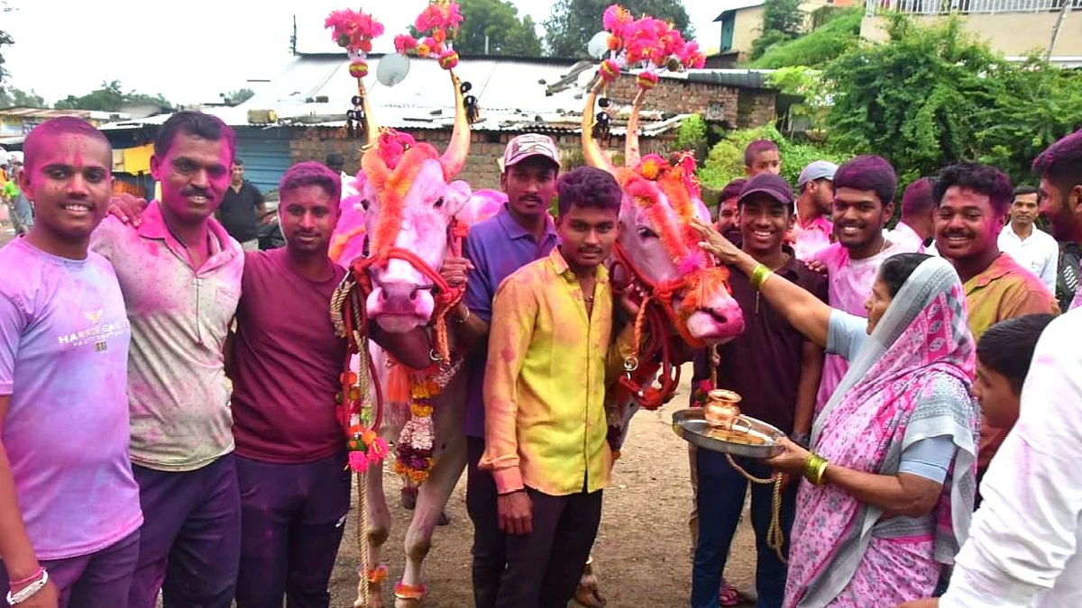 Photo Gallery : जिल्ह्यात पोळा सणाचा उत्साह