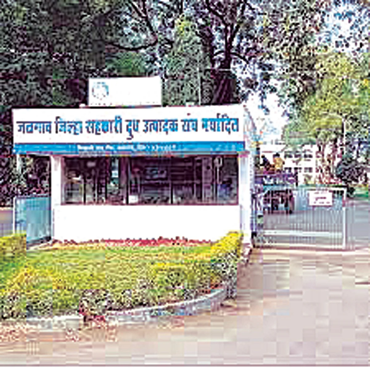 दूध संघातून 1800 नव्हे तर 3350 किलो तुपाची विक्री