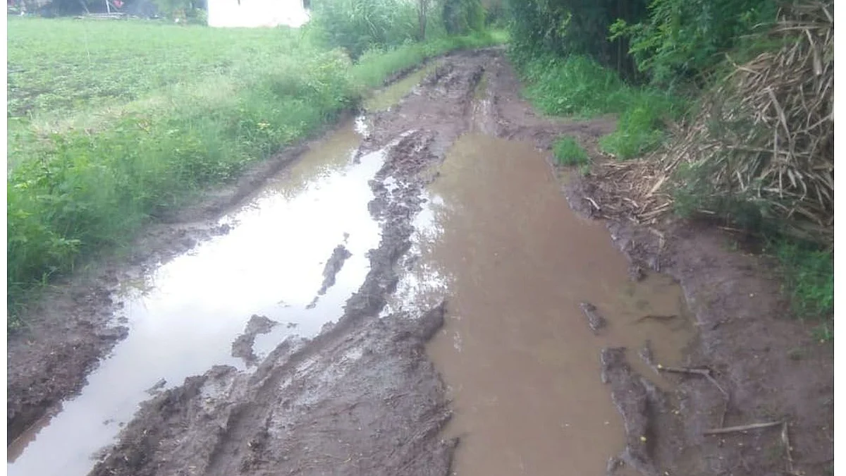 भोकर परिसरातील रस्त्याची दुरावस्था