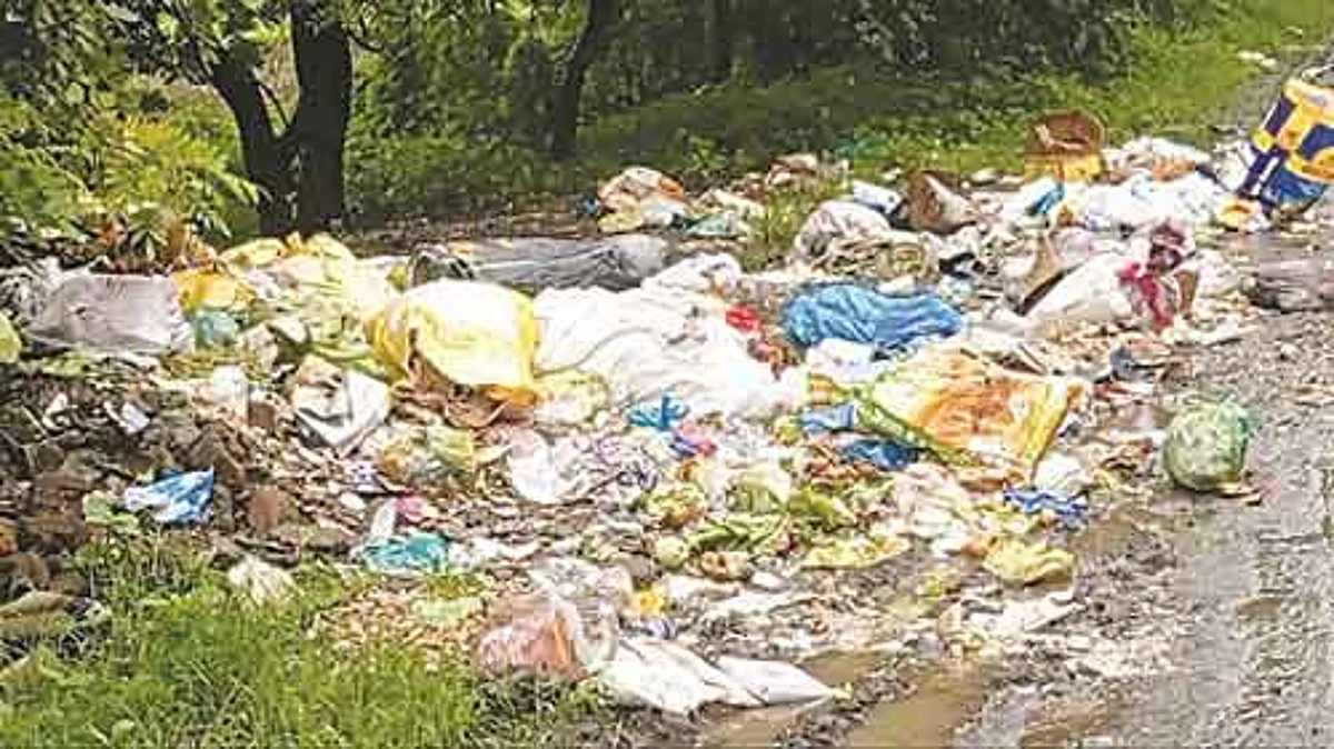 सिन्नर तालुका वार्तापत्र: शहर स्वच्छतेकडे प्रशासनाचे दुर्लक्ष