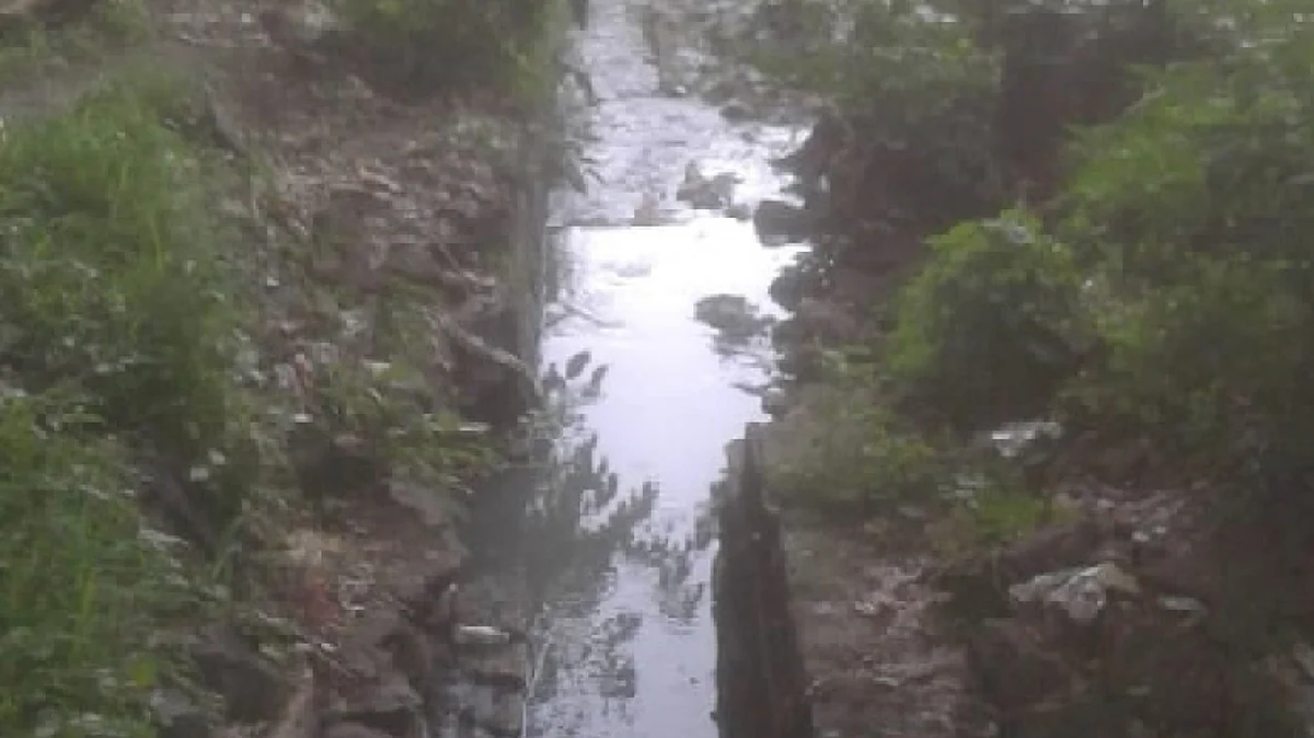 पाटातून गेलेल्या चारीची पाईपलाईन फुटल्याने
घाण पाण्याचे साम्राज्य