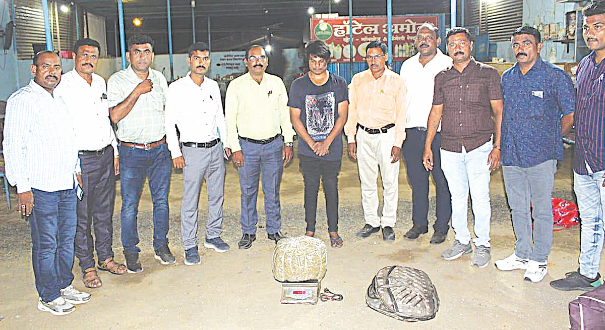 लक्झरीतून होणारी गांजाची तस्करी रोखली