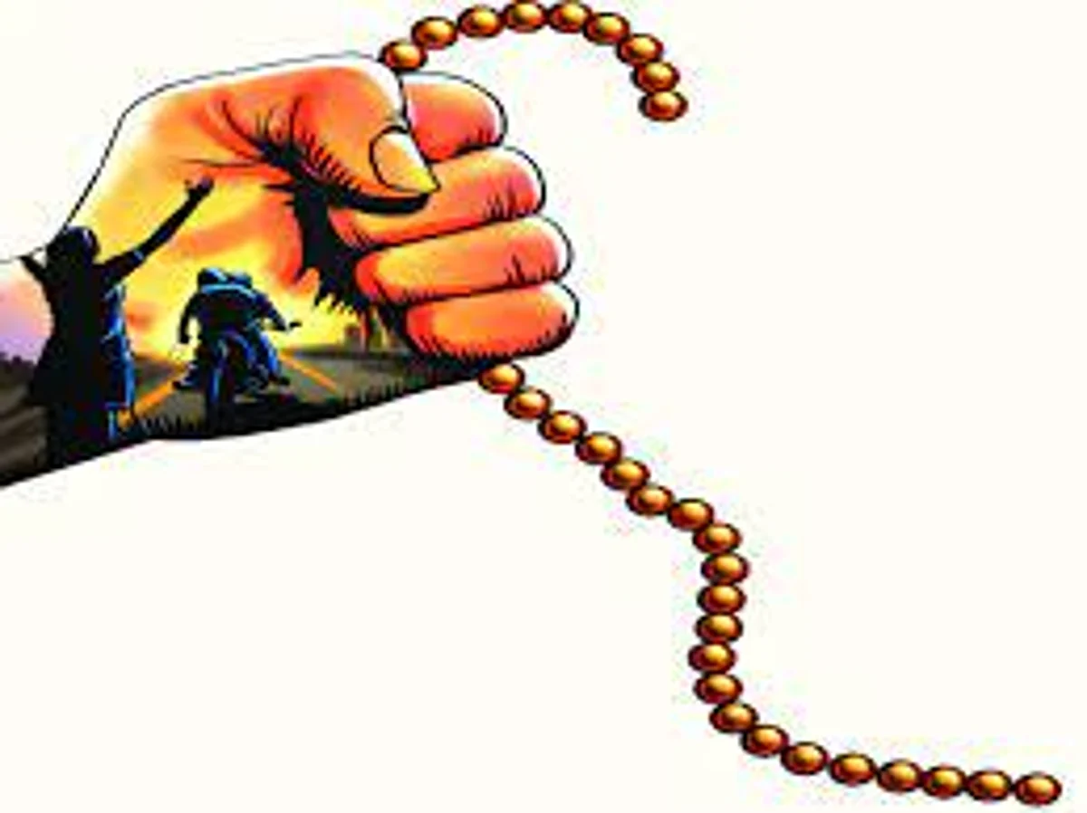 बंदुकीचा धाक दाखवून महिलेच्या गळ्यातील सोने लुटले