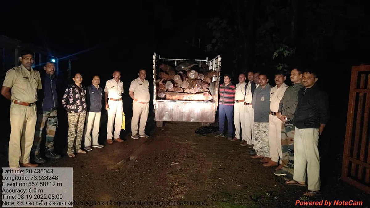 पावसाने विश्रांती घेताच 'पुष्पा गॅंग' सक्रीय; मध्यरात्री 'अशा' ठोकल्या बेड्या