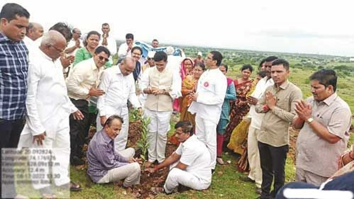 वृक्ष मोफत प्राणवायू देणारे सजीव स्त्रोत: मोरे