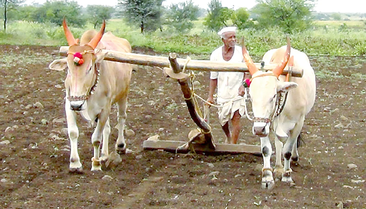 ..तरच सेंद्रिय शेतीची भरभराट!