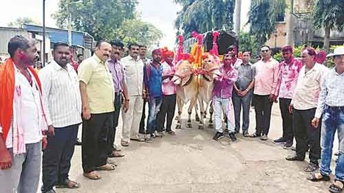 येवला फेस्टिव्हलमध्ये पर्यावरण जनजागृती