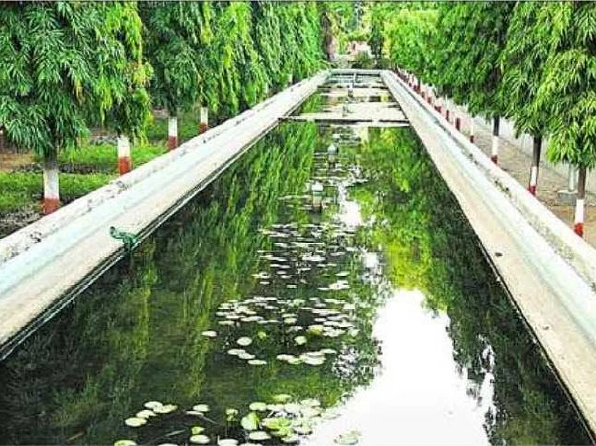 हिमायत बाग होणार जैवविविधता वारसा स्थळ