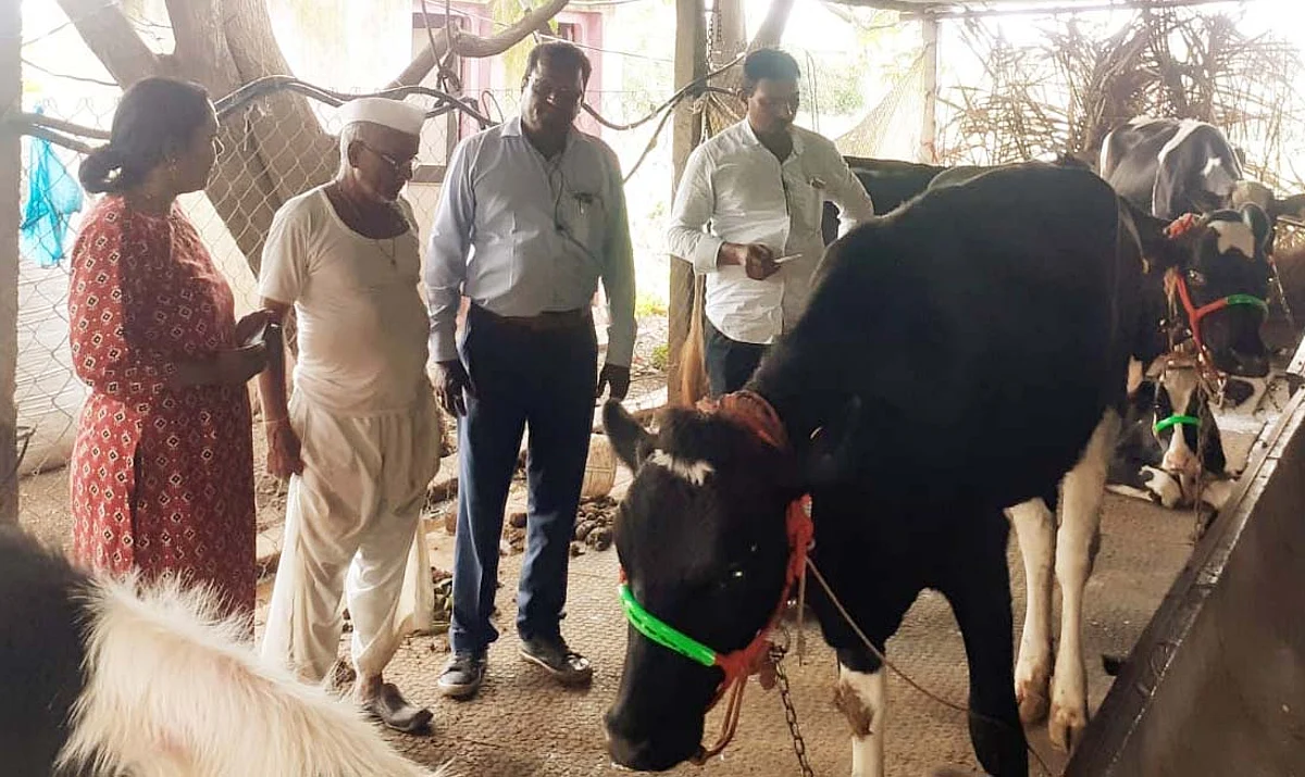 अस्तगावला दोन गायींना लम्पी सदृश्य आजाराची लागण