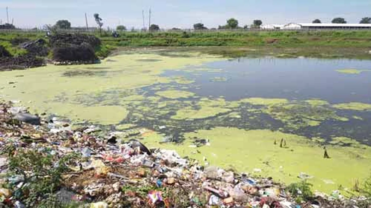 अस्वच्छता,माश्यांमुळे नागरिकांचे आरोग्य धोक्यात